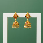 Gold plated pure silver jhumkas detail